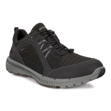 Pantofi Ecco Men's Terracruise II Gore-Tex Negru - Black