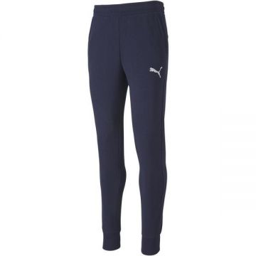 Pantaloni barbati Puma teamGOAL 23 65658206, S, Albastru