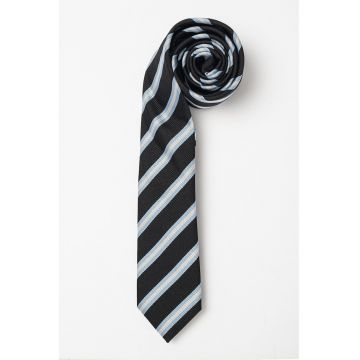Cravata cu dungi