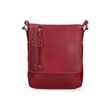 Geanta crossbody de piele