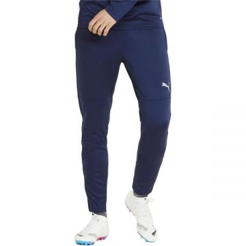 Pantaloni barbati Puma Teamfinal Training Pants 65738006, M, Albastru