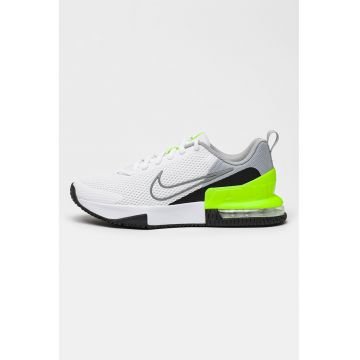 Pantofi pentru antrenament Air Max Alpha Trainer 6