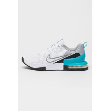 Pantofi pentru antrenament Air Max Alpha Trainer 6