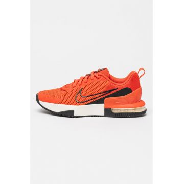 Pantofi pentru antrenament Air Max Alpha Trainer 6