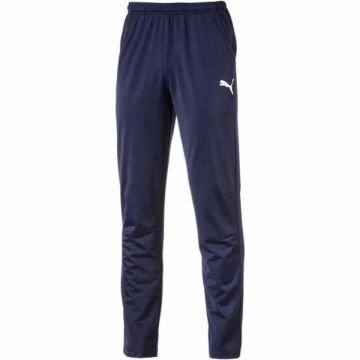 Pantaloni barbati Puma Men Liga Pants Core 65577006, L, Albastru